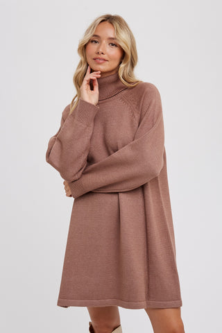 Turning Heads Turtleneck Sweater Dress