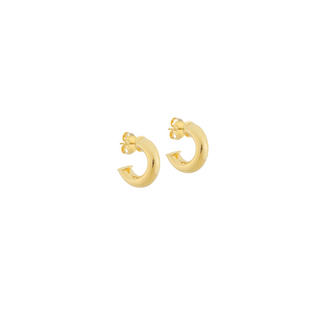 Sheila Fajl Petite Salerno Hoops