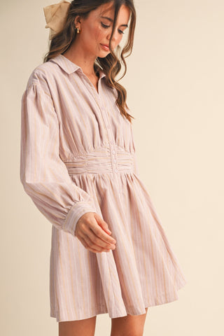 In A Blush Striped Button Down Dress