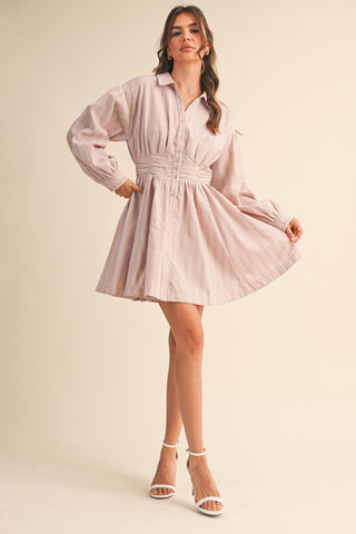 In A Blush Striped Button Down Dress