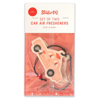 Car Air Freshener Set