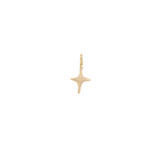 Twinkle Star Charm