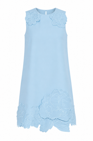 In Full Bloom Mini Dress