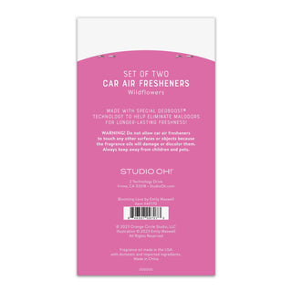 Car Air Freshener Set