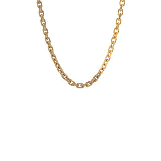TT Color Coated & Metal Chain Necklace