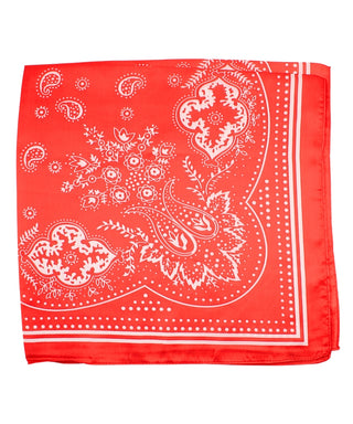 Paisley Print Bandana Scarf