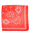 Paisley Print Bandana Scarf