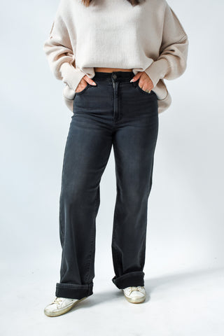 Hidden Logan High Rise Dad Jean