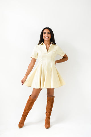 Flirty and Flared Collared Dress