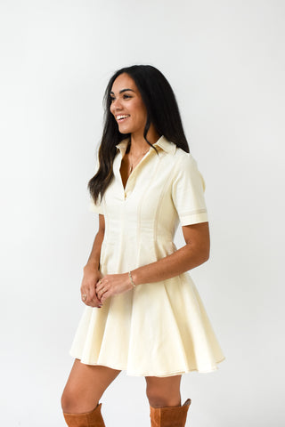 Flirty and Flared Collared Dress