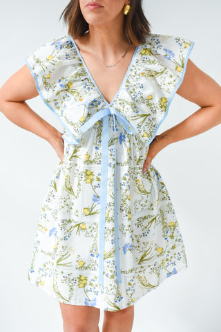 Squeeze The Day Mini Dress