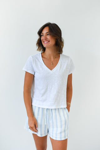 Z Supply Daylight Striped Short