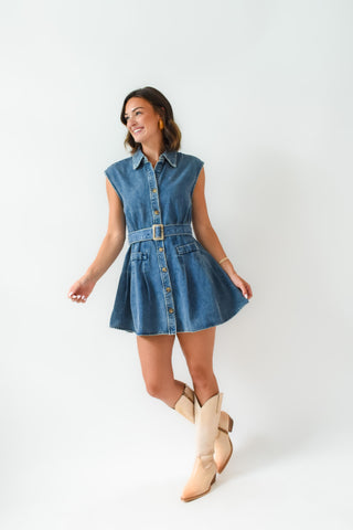 Karlie Denim Button Shirt Dress