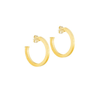 Sheila Fajl Taranto Hoops