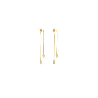 Teardrop Snake Front Back Earrings