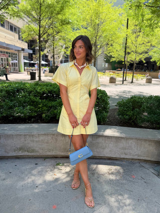 Durella Button Down Mini Dress