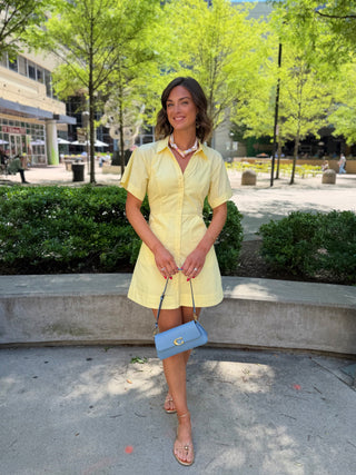 Durella Button Down Mini Dress