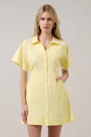 Durella Button Down Mini Dress