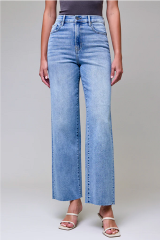 Hidden Logan High Rise Dad Jean