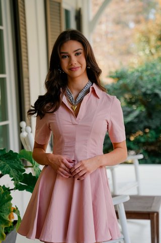 Flirty and Flared Collared Dress