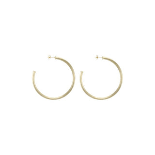 Sheila Fajl Everybody's Favorite Hoops