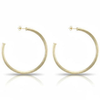 Sheila Fajl Everybody's Favorite Hoops