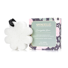 Load image into Gallery viewer, Spongelle Wild Flower Bath Sponge - Eucalyptus Rain
