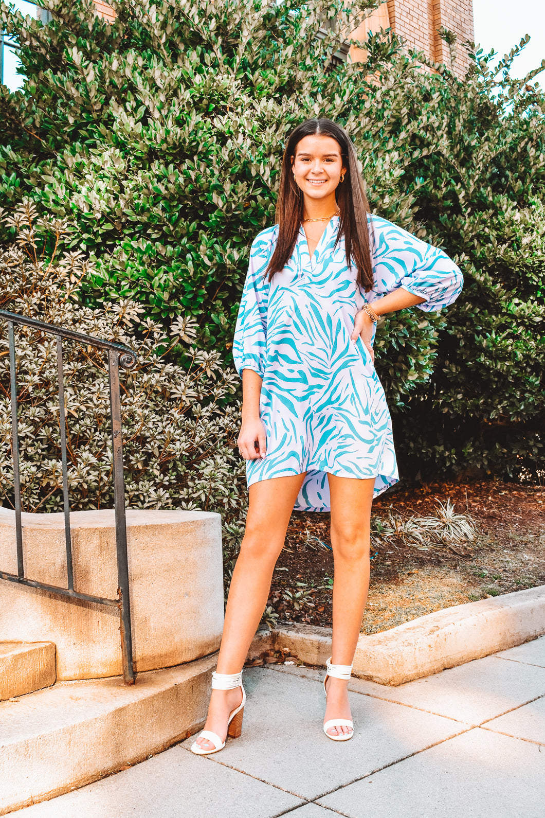 Perfectly Put Together Zebra Print Dress
