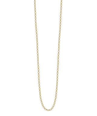 Chain Long Necklace