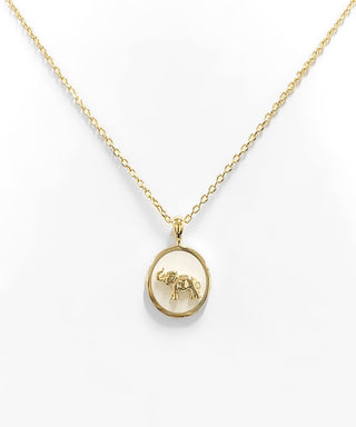 Elephant Color Coin Necklace