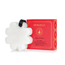 Load image into Gallery viewer, Spongelle Boxed Flower Sponge - Sugar Dahlia
