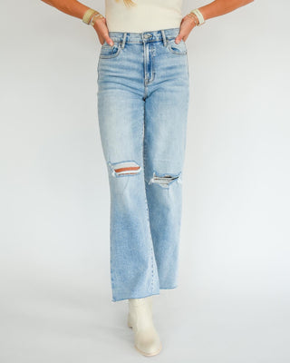 Hidden Logan High Rise Dad Jeans