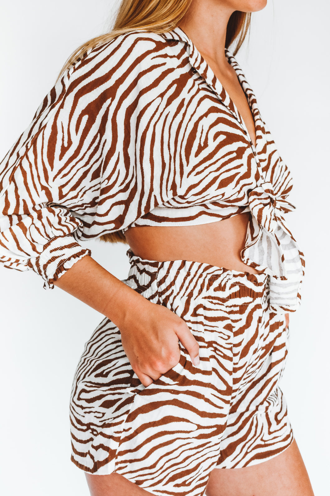 Don't Mind If I Zoo Zebra Print Shorts