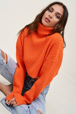 Cuddly And Chic Turtleneck Sweater